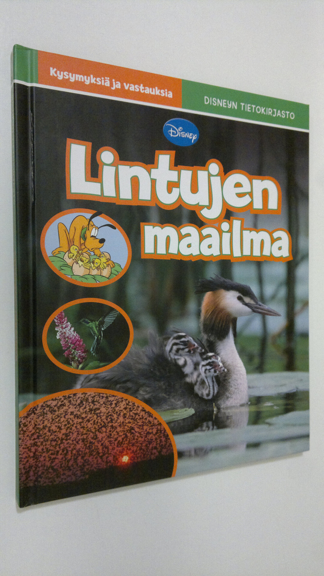Peter Jepsen : Lintujen maailma : kysymyksiä ja vastauksia