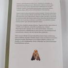 Katarina ym. (toim.) Eskola : Aina uusi muisto - pikkukuva 2