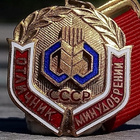 CCCR Kunniamerkki Maanparrannusainessa. Kullattu Ronssia. Em - pikkukuva 3