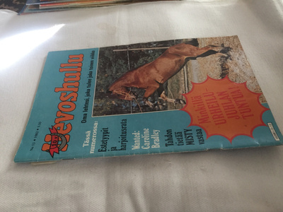 HEVOSHULLU 13/1982 HYVÄ