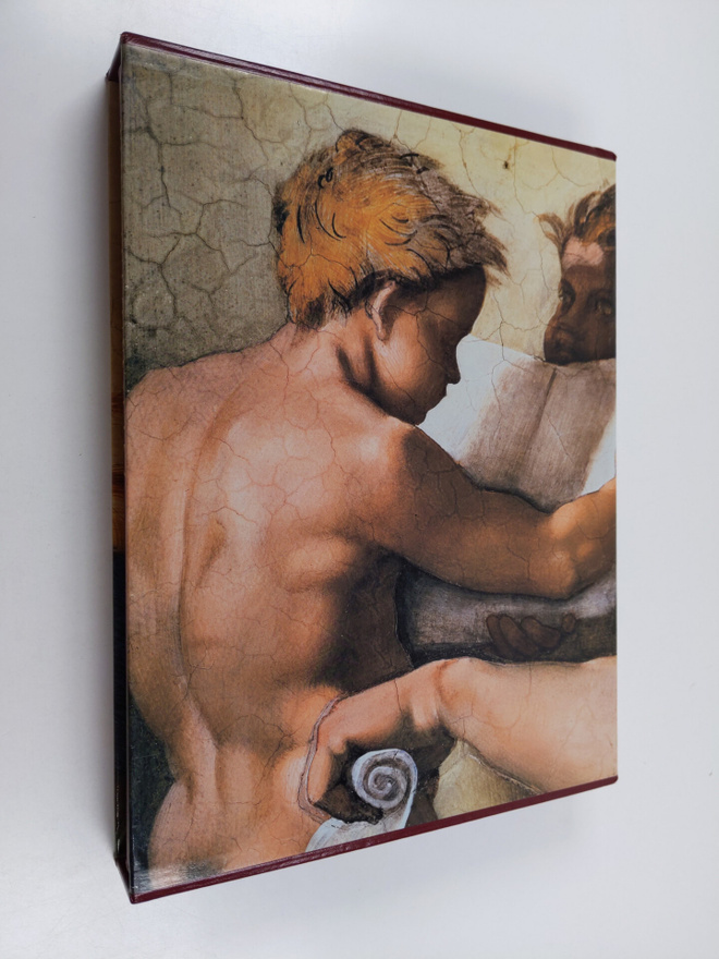 Pierluigi De Vecchi : Michelangelo : Vatikaanin freskot (...