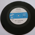 Rexi & Napoleon – Kaiken Haluat 7" orig 1975 hieno kunto - pikkukuva 2