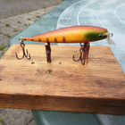 Luntio 8,5cm Jalokalalle - pikkukuva 1