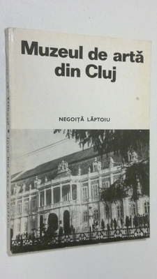 Negoita Laptoiu : Muzeul de arta din Cluj