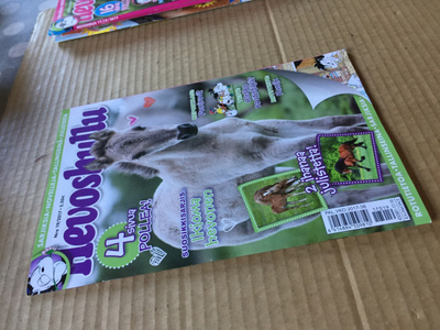 HEVOSHULLU 19/2017 HYVÄ
