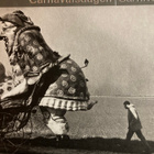 PAUL VAN DER STAP: CARNIVAL DAYS - pikkukuva 1
