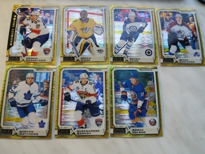 2018-19 O-Pee-Chee Platinum erikoiskortteja alkaen 6.50e