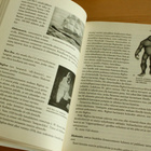 Kaiken oudon ensyklopedia (Jani Kaaro) - pikkukuva 3