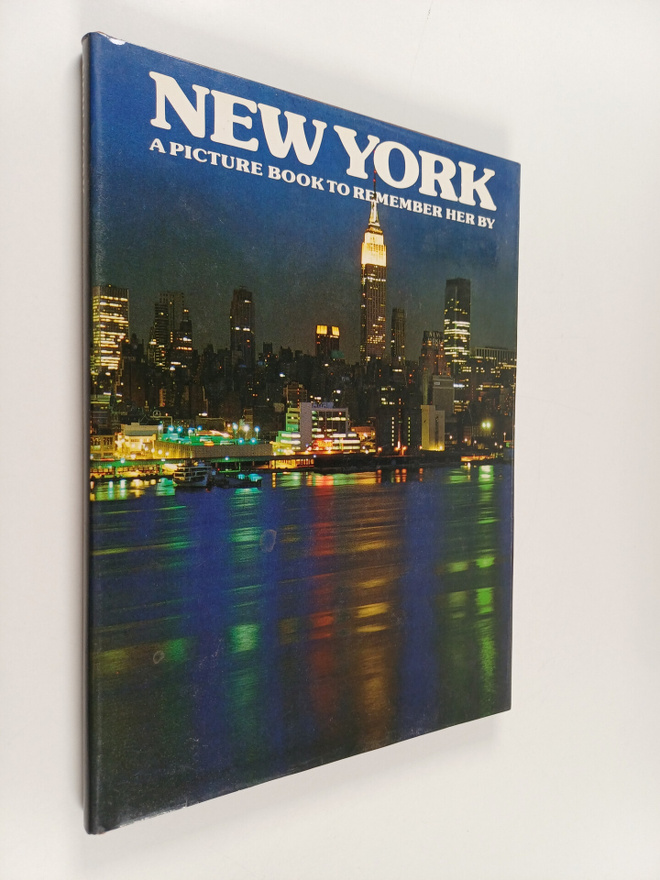 David Gibbon : New york : a picture book to remember her by