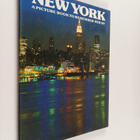 David Gibbon : New york : a picture book to remember her by - pikkukuva 1