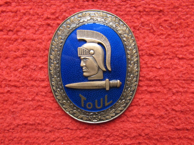 Toimiupseeriliitto (ToUL)