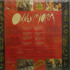 SIELUN VELJET - ONNENPYÖRÄ - FINLAND 1988 M-/M- LP - pikkukuva 2