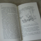 Köpi Käpälämäki - Maria Mikkola - pikkukuva 5