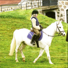 Ratsastus on kivaa <> Karin Löfman - pikkukuva 1