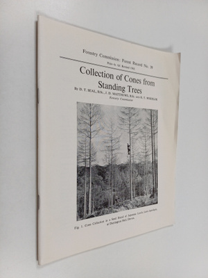 D. T. Seal : Collection of cones from standing trees