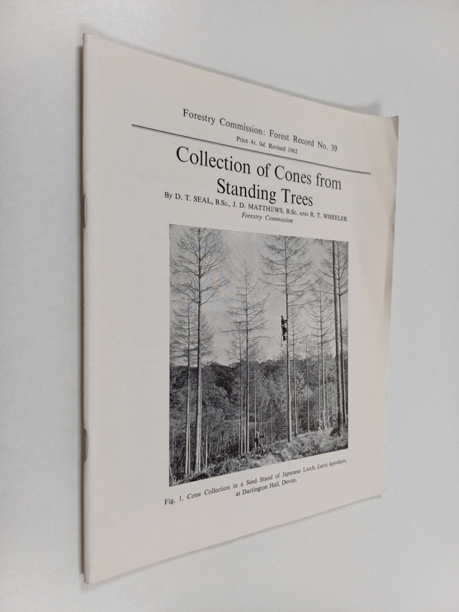 D. T. Seal : Collection of cones from standing trees