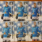 2014-15 Pelicans Team Issue 1,50€ kpl - pikkukuva 4