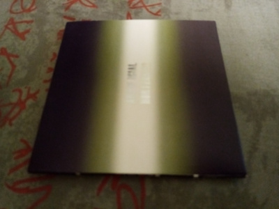 CD U2 : Art if icial horizon U2