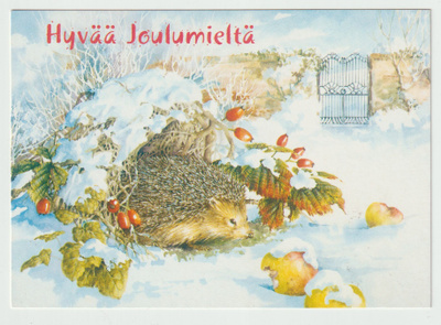 Siili tavoittelee omenaa lumisella pihalla