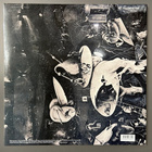 DEEP PURPLE : Deep Purple - LP, uusi - pikkukuva 3