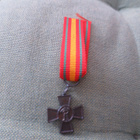 6--Divisioonan Pienoiskunniamerkki - pikkukuva 1