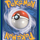 Pokémon Explorer's Guidance - pikkukuva 2