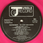 Heartbreakers – The L.A.M.F. Demo Sessions - pikkukuva 3