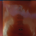 THE HITMEN - 78-82 SURVIVAL M-/M- LP - pikkukuva 2