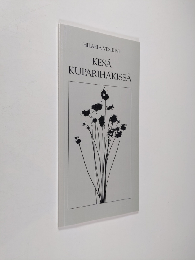 Hilaria Vesikivi : Kesä kuparihäkissä