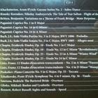 Dark Side Of The Classical Music CD Boksi - pikkukuva 5