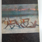 Lappi eilen - tänään - huomenna - pikkukuva 2