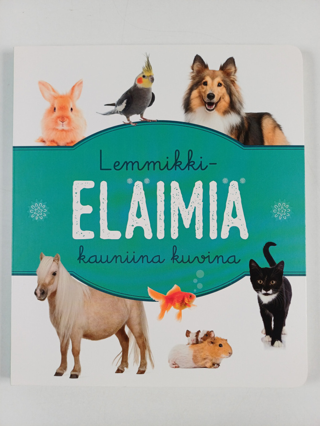 Lemmikkieläimiä kauniina kuvina