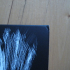 SUN PREACHERS - FACES OF ASHES lp - pikkukuva 3
