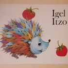 DDR Igel Itzo - pikkukuva 1