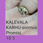 KALEVALA, KARHU -KORUT , kääty ja korvakorut, koukut  - pikkukuva 2