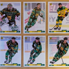 2023-24 Cardset Series 2 Ilves Team Set 12 korttia (205-216) - pikkukuva 1