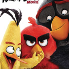 Angry Birds Elokuva dvd - pikkukuva 1