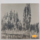 Urmas Orgusaar : Urmas Orgusaare loomingut - Works of Urm... - pikkukuva 2
