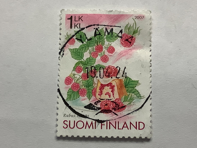 1848/ 2007 Vadelma o leimattu loisto