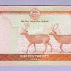 Nepal 20 Rupees v.2020 UNC P-78 - pikkukuva 2