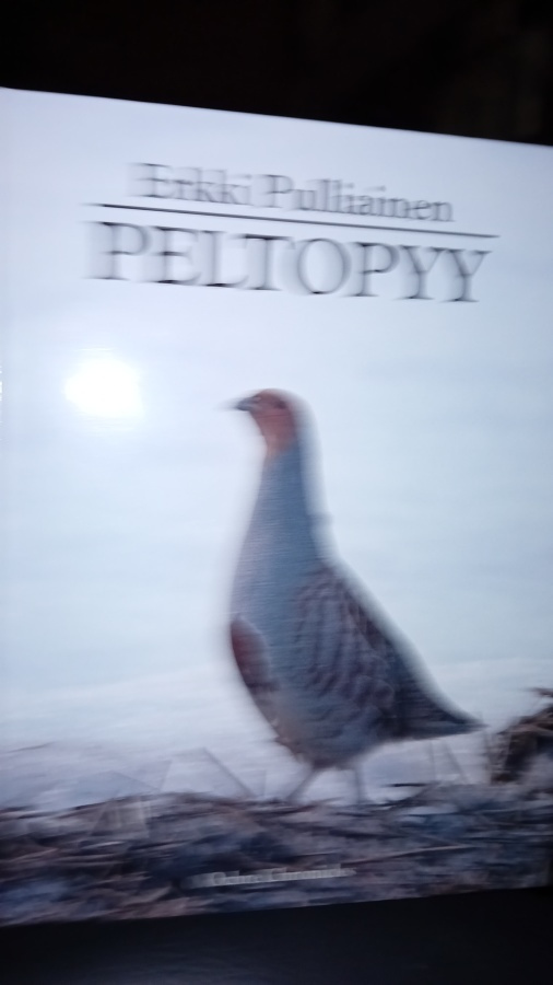 Pulliainen : Peltopyy ( SIS POSTIKULU )