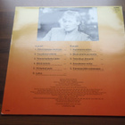 KARI KUIVALAINEN - TAVALLINEN ELÄMÄ ( LP . VINYYLI ) - pikkukuva 2