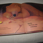 Wilson - Chapman Karhua nukuttaa - pikkukuva 2