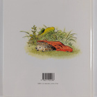 Frederic Stehr ym. : Gentiloup - pikkukuva 2