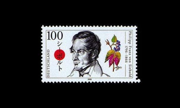 Saksa 1842 ** Philipp Franz von Siebold (1996)