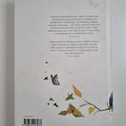 John Murray : A Few Short Notes on Tropical Butterflies -... - pikkukuva 2