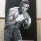 Mike Tyson & Larry Sloman - Tyly totuus (sid.) - pikkukuva 2