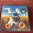 TEARS FOR FEARS - SONGS FOR A NERVOUS PLANET - 2LP - pikkukuva 1