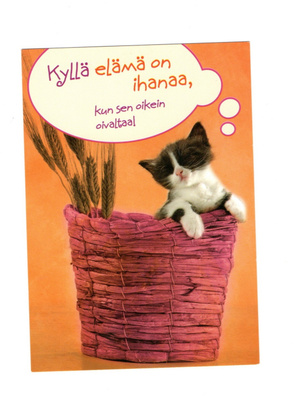 °°KISSA...kyllä elämä on ihanaa°° -KORTTI /Paletti