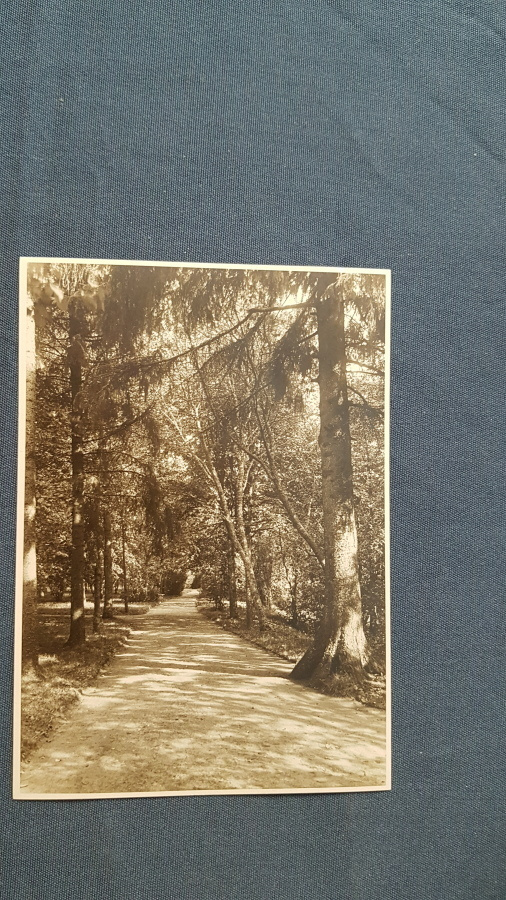 Notsjö gård 1918, 3 kuvaa, 16,5 x 11,5 cm